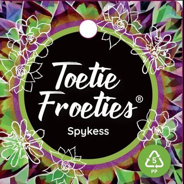 Sempervivum TOETIE FROETIES SPYKES