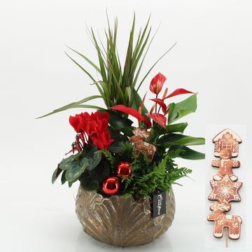 Arrangement Christmas