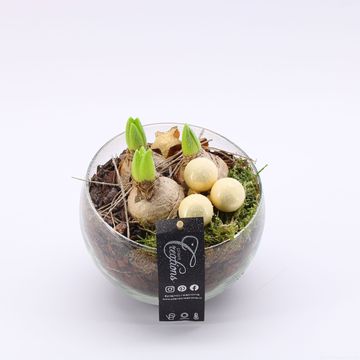 Arrangement Christmas