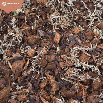 Substrates ORCHID MIX