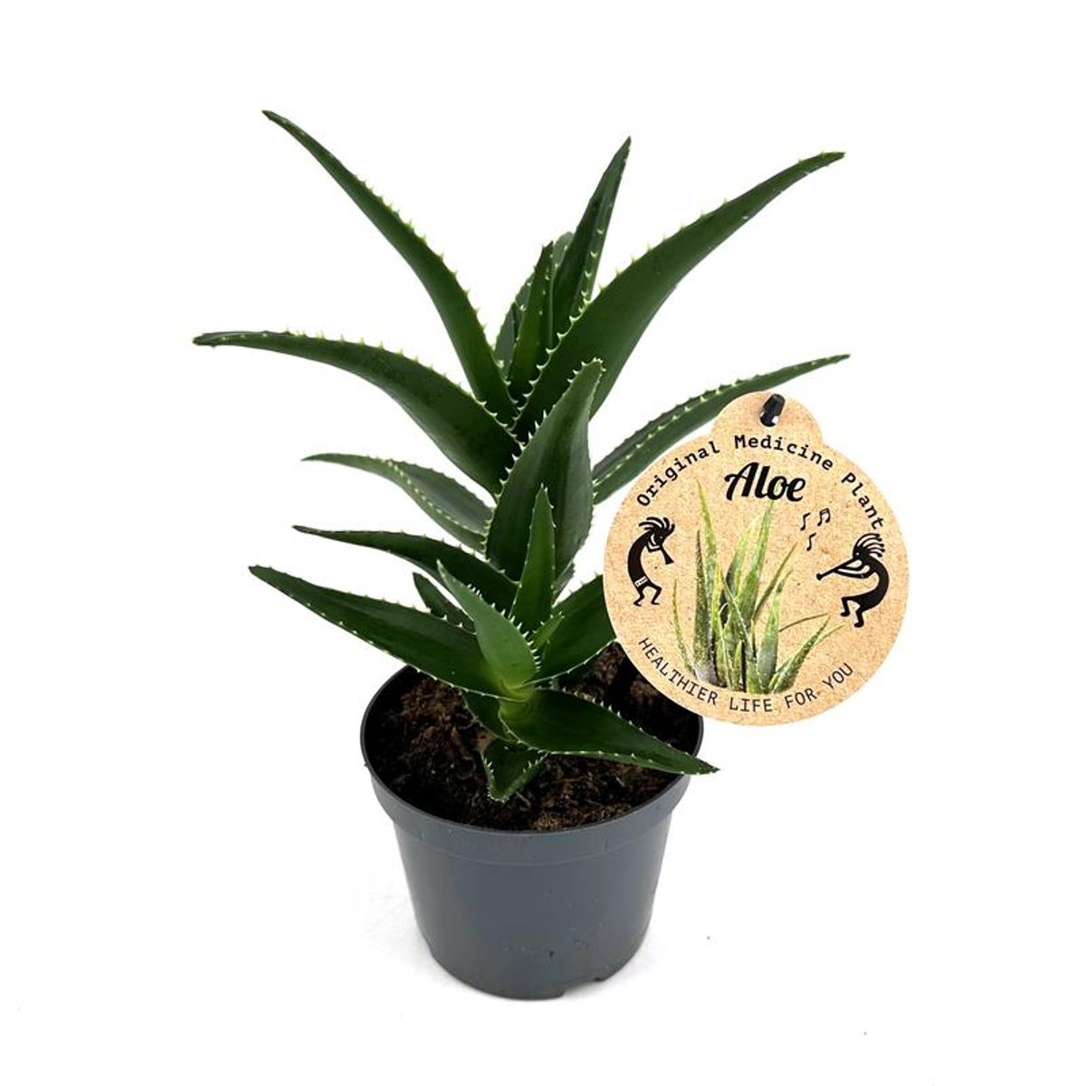 aloe vera für hunde DERMagic Cell Restoration Crème main image 1