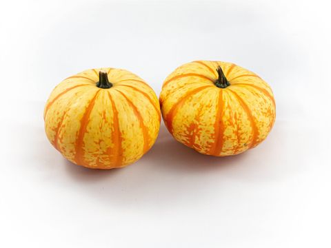 Cucurbita pepo 'Blaze'