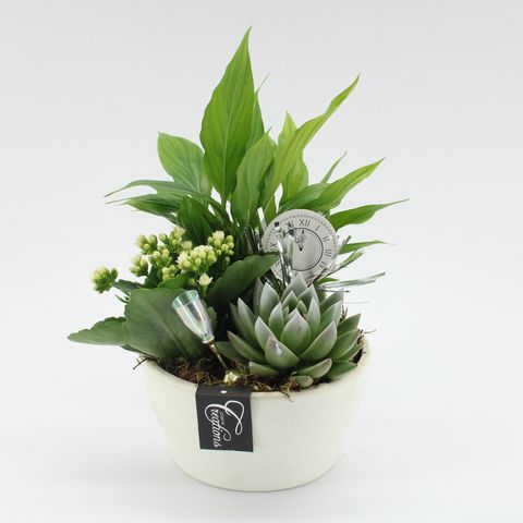 Arrangement New Year