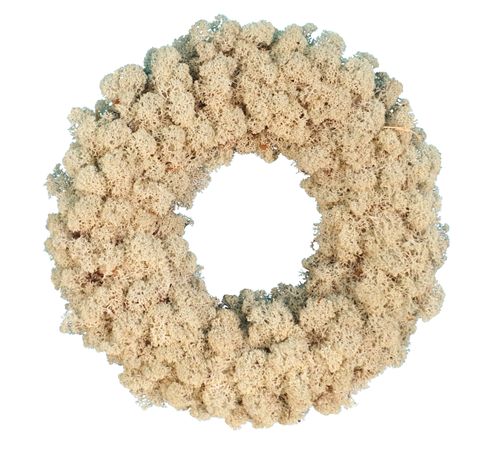 Christmas wreath