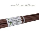 Palo de musgo - Plant support stick