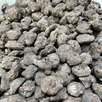 Anemone blanda 'Blue Shades'