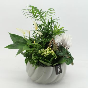 Aranżacja Boże Narodzenie