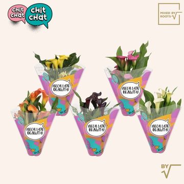 Zantedeschia MIX