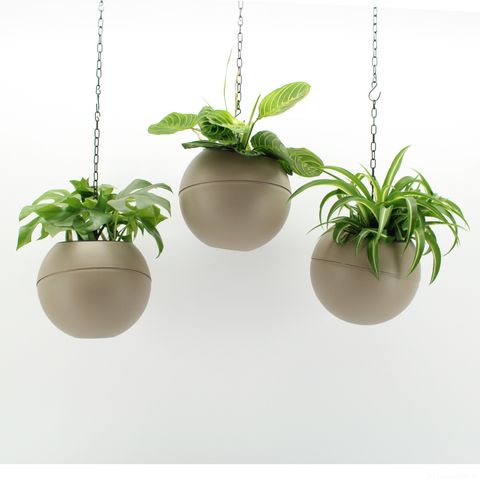 Arrangement Indoor Green Mix