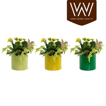 Aranżacja Wielkanoc