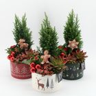 Arrangement Kerst