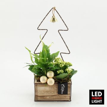 Arrangement Christmas