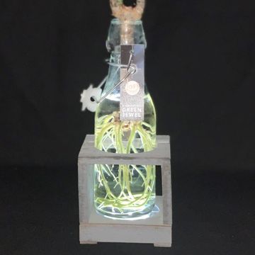 Arrangement Houseplants