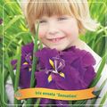 Iris ensata 'Сенсейшн'