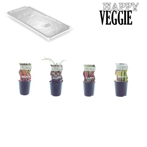 Vegetables MIX