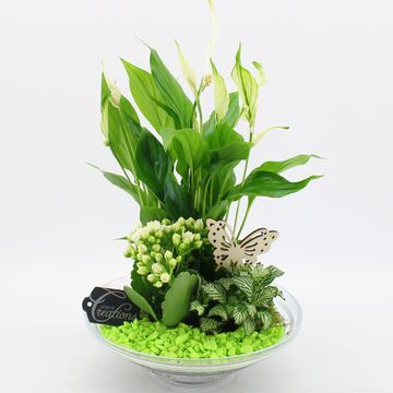 Arrangement Basic Fundamentals