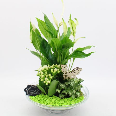 Arrangement Basic Fundamentals