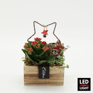 Arrangement Christmas