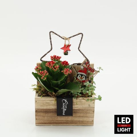 Arrangement Christmas