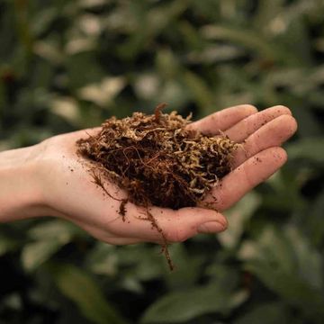 Substrates TERRARIUM MIX