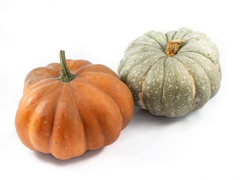 Cucurbita MIX