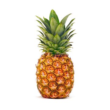 Ananas 'Champaca'