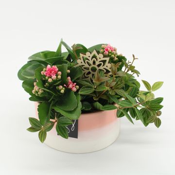 Arrangement Essentials