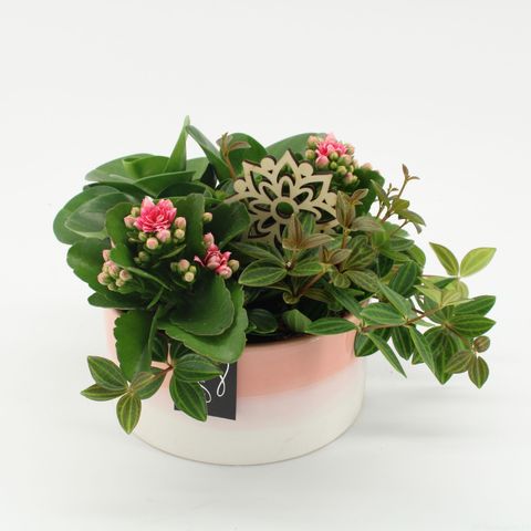 Arrangement Essentials