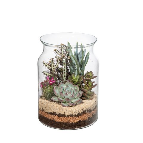 Järjestelyt Terrarium