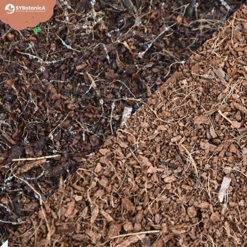 Substrates COCO COIR