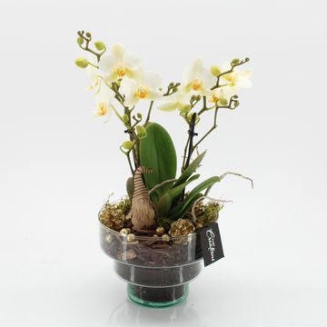 Arrangement Christmas