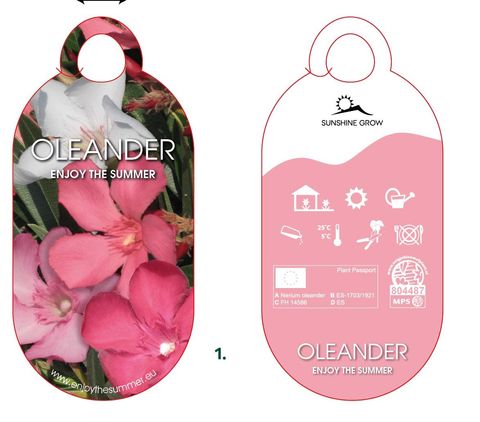 Nerium oleander