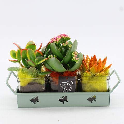 Arrangement Back to school