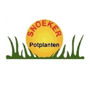 Snoeker