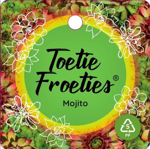 Sempervivum TOETIE FROETIES MOJITO GREEN