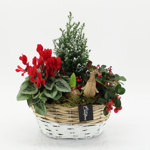 Arrangement Christmas