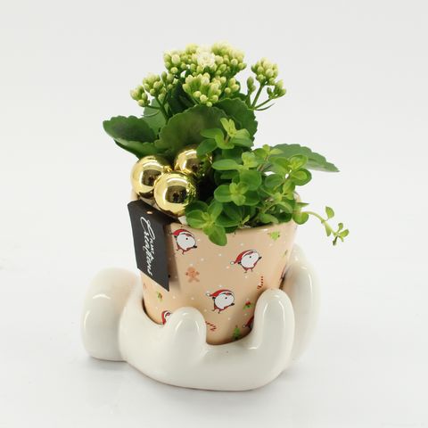 Arrangement Christmas