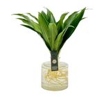 Arrangement Dracaena