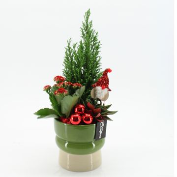 Arrangement Christmas