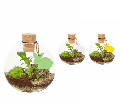 Arrangement Terrarium Easter