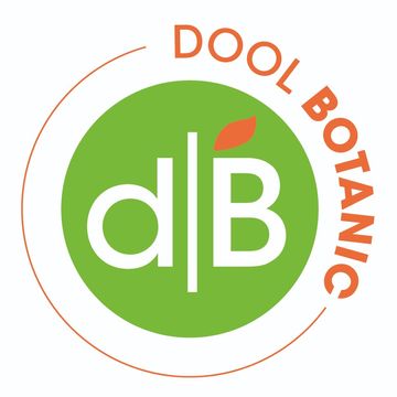 Ceanothus 'Blue Sensation'