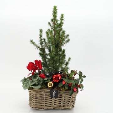 Arrangement Christmas