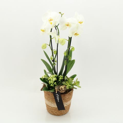 Kомпозиции Пасха