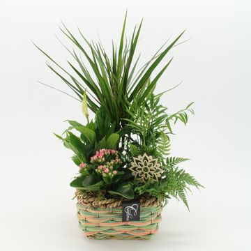 Arrangement Essentials