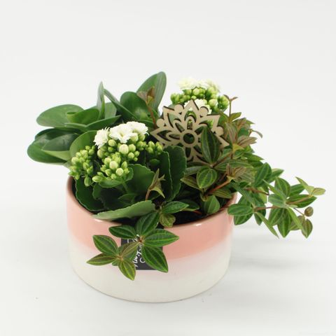 Arrangement Essentials