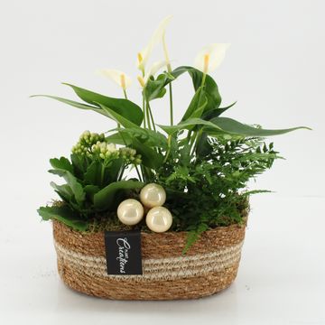 Arrangement Christmas