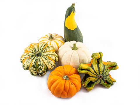 Cucurbita pepo MIX