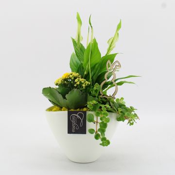 Kомпозиции Пасха