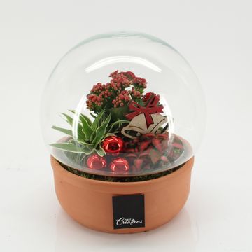 Arrangement Christmas