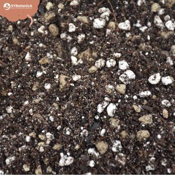 Substrates CACTI / SUCCULENTS MIX